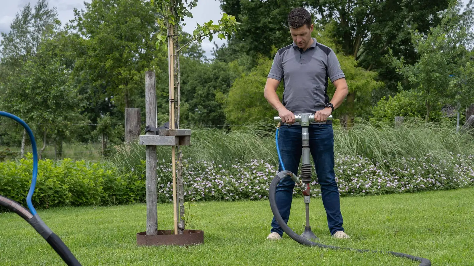 Grond ploffen bij een boom